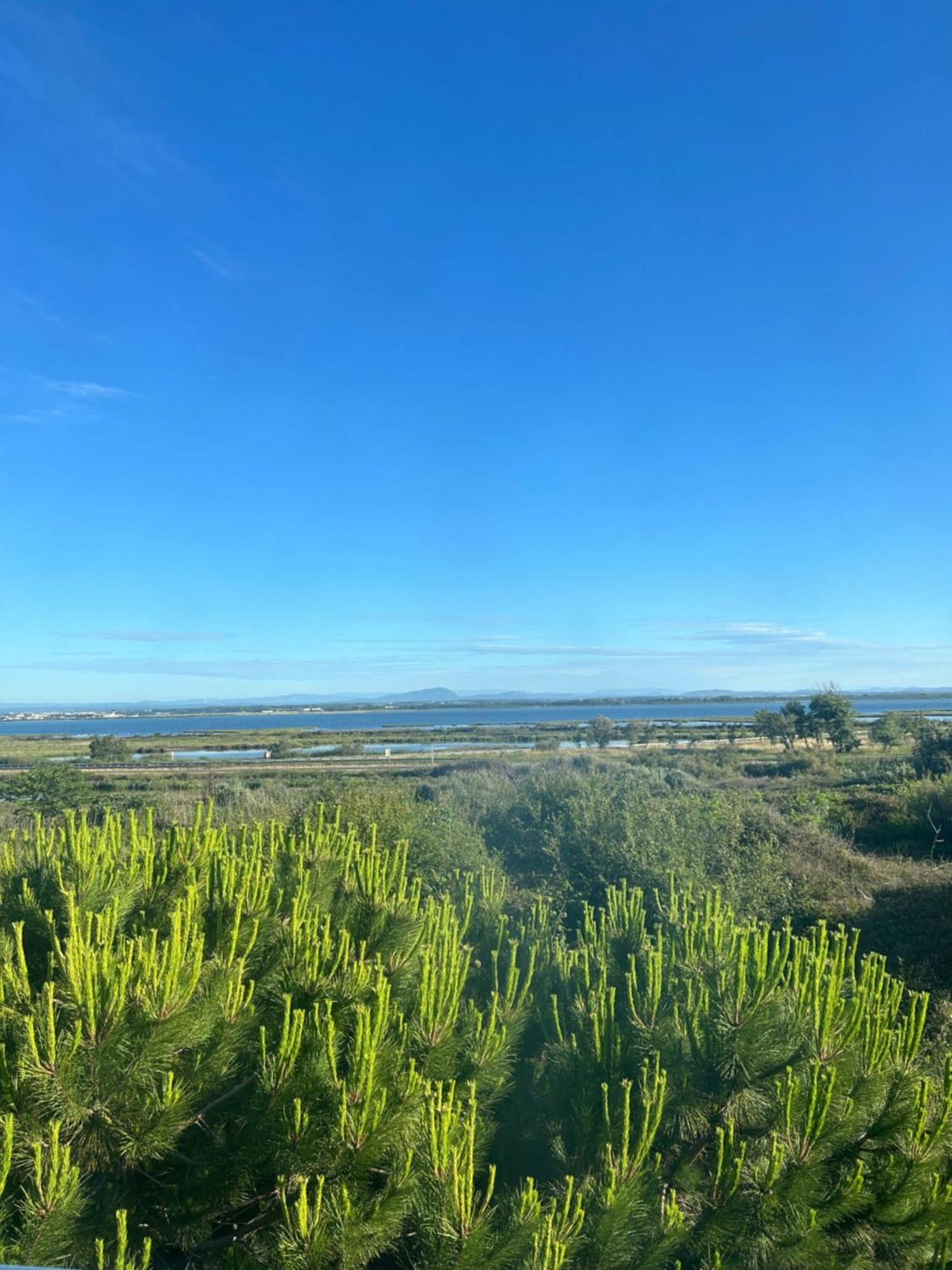 מוגויו Appartement Traversant Vue Mer Et Etang מראה חיצוני תמונה